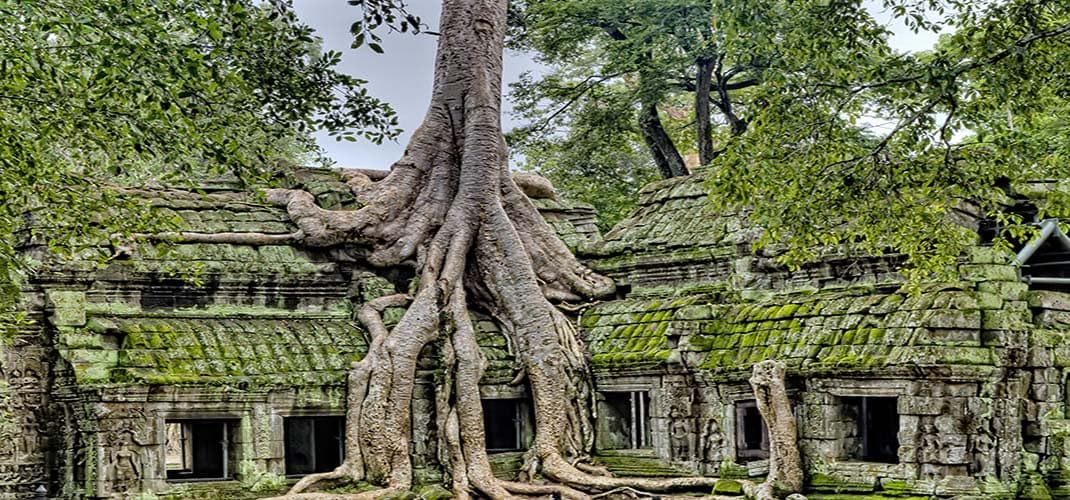 Ta Prohm Temple, Siem Reap, Cambodia