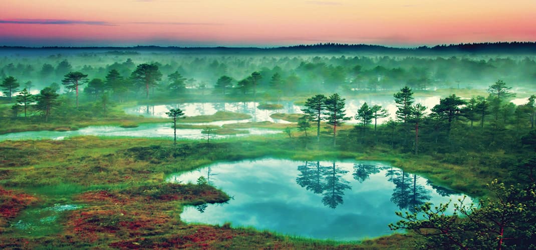 Baltics