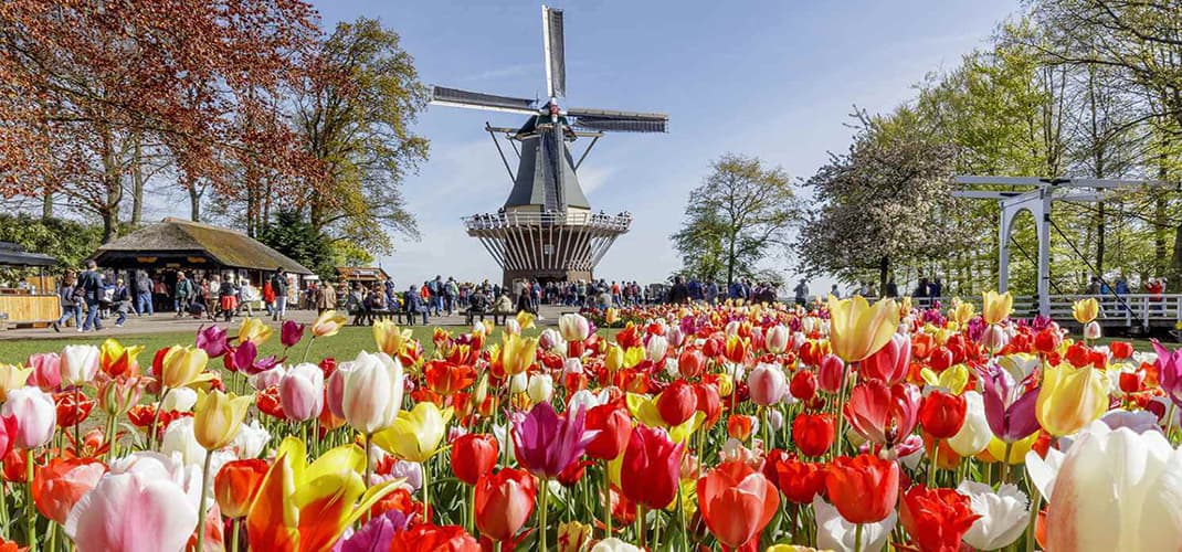 Keukenhof Tulip Garden, Netherlands