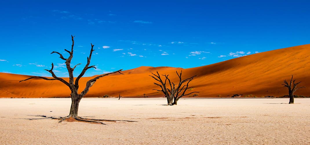 Deadvlei-Sossusvlei, Namibia