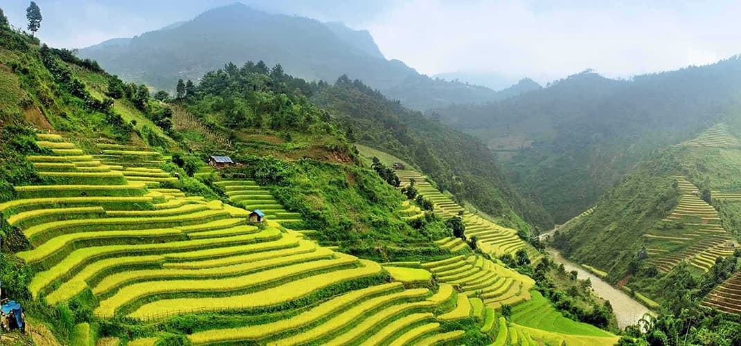 Terraced Rice Fields, Sa Pa, Vietnam