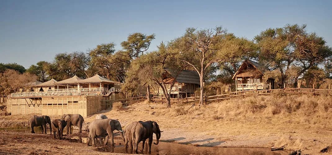 Savute Elephant Lodge and Local Residents, A Belmond Safari, Chobe National Park, Botswana