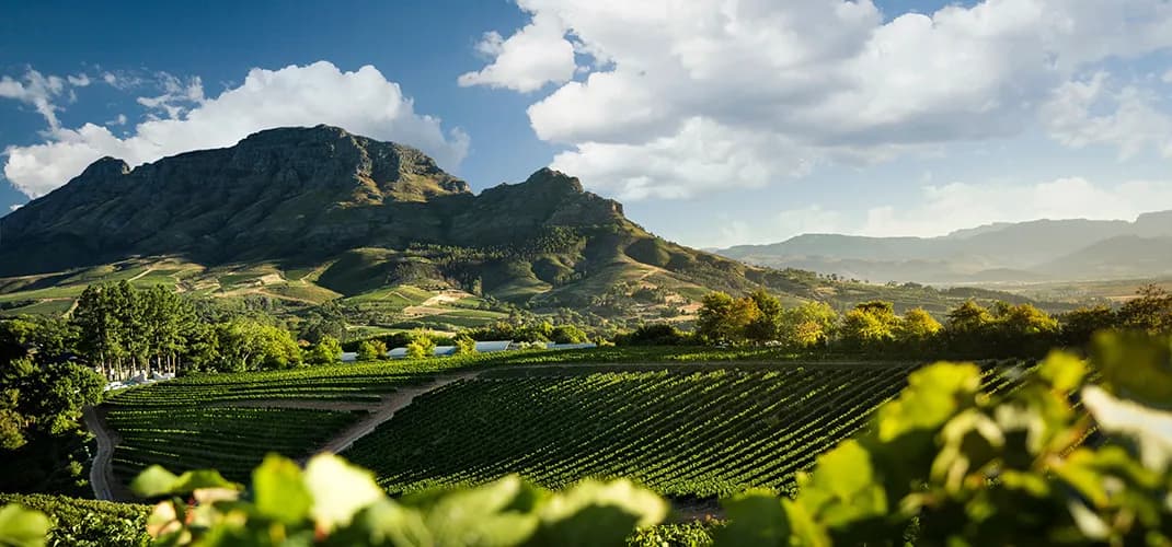 Delaire Graff Estate, Stellenbosch, Cape Winelands, South Africa