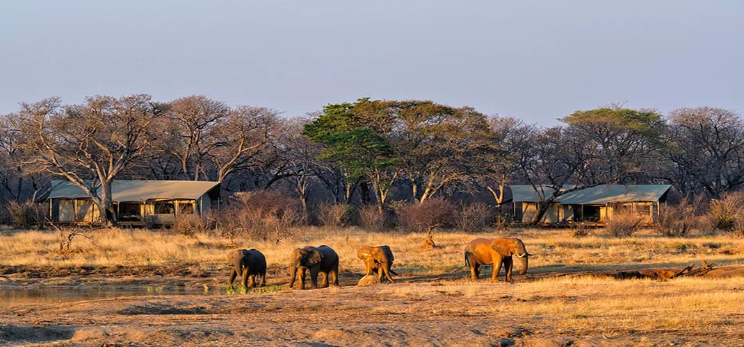 Verneys Camp, Hwange National Park, Zimbabwe