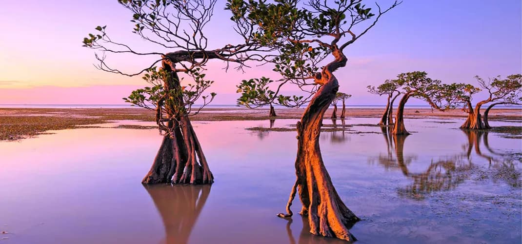 Walakiri Beach, Sumba Island, Indonesia