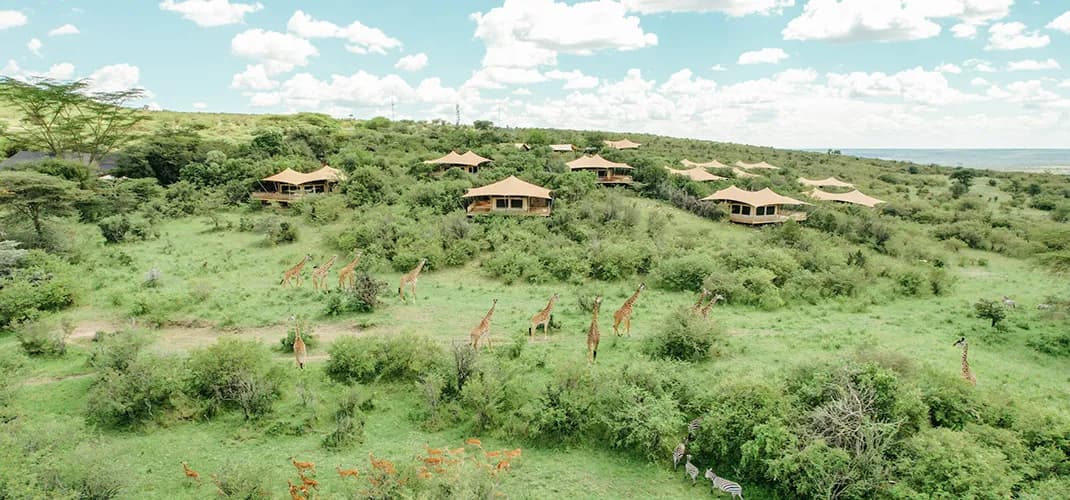 Mara Bushtops Luxury Camp, Maasai Mara National Reserve, Kenya