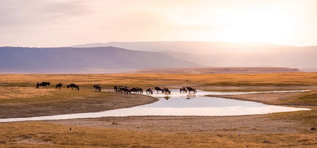 Ngorongoro Crater National Park, Tanzania