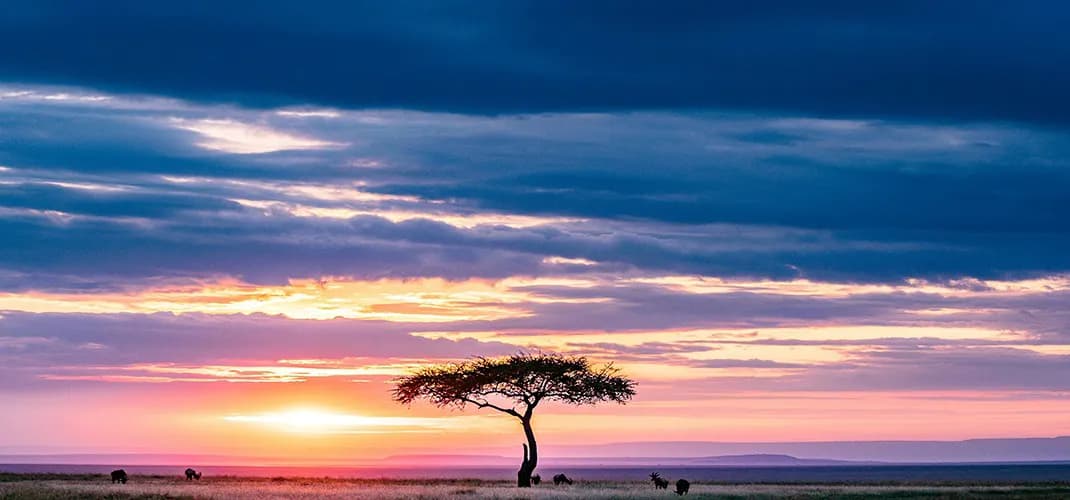 Maasai Mara National Reserve, Kenya