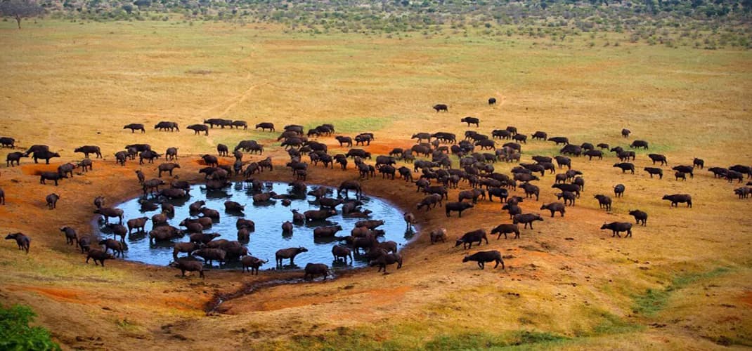 Tsavo West National Park, Kenya