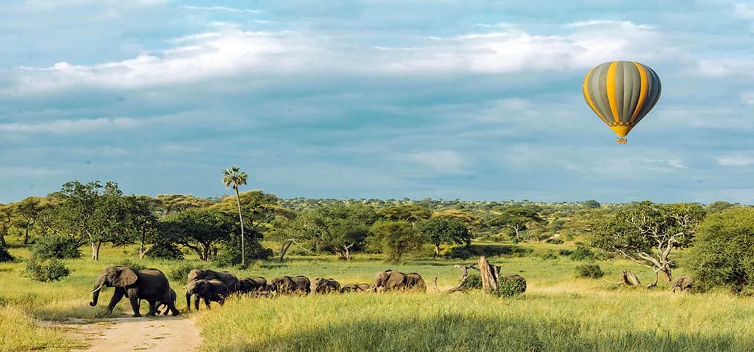 Serengeti National Park, Tanzania
