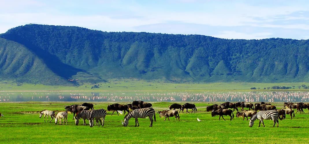 Ngorongoro Crater, Ngorongoro Conservation Area, Tanzania