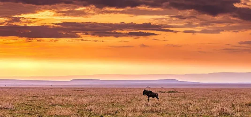 Selous National Reserve, Tanzania