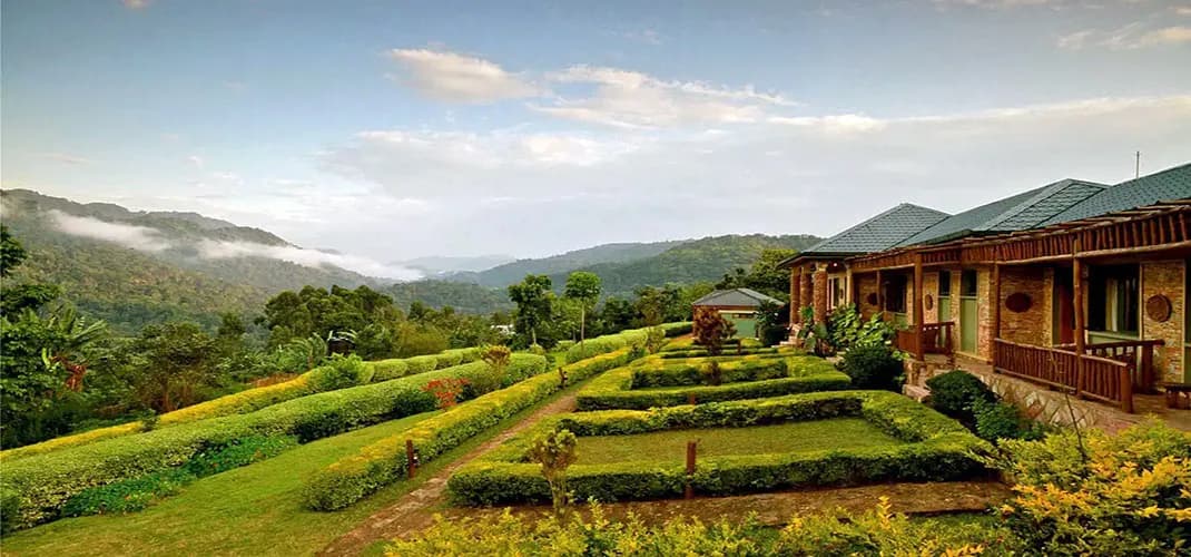 Silverback Lodge, Bwindi Impenetrable Forest, Uganda