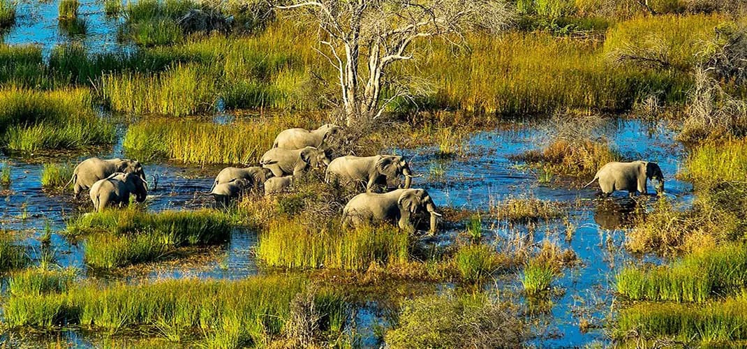 Okavango Delta, Botswana
