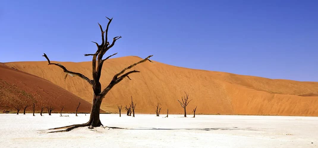 Namibia luxury resorts